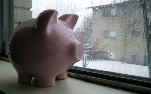 Piggy Bank Awaits the Spring